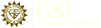 GSI Logo