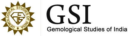 GSI logo